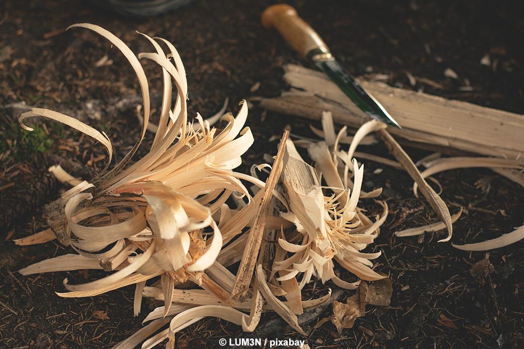 Waldtiere