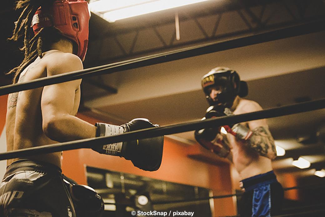 Steko´s Fight Night