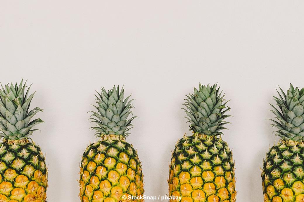 Pineapple Park