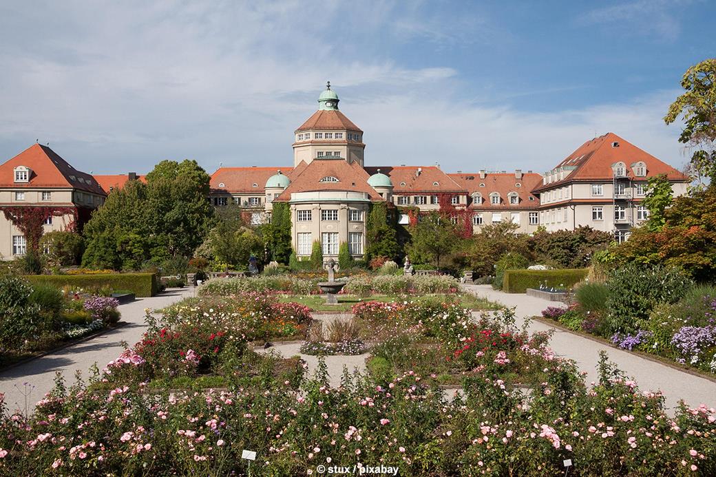 Botanischer Garten