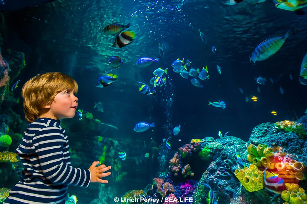 Sea Life München