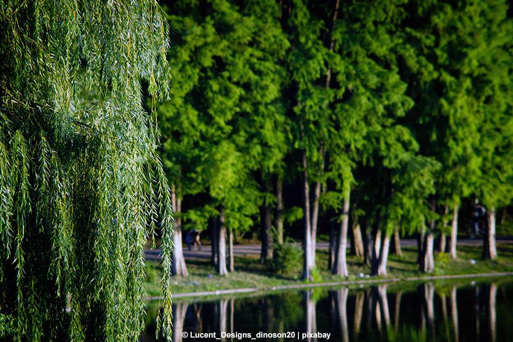 Luitpoldpark